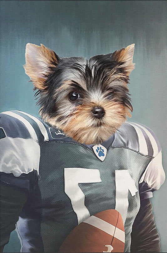 Fotbalista - Petska.cz