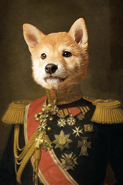 Veterán - Petska.cz