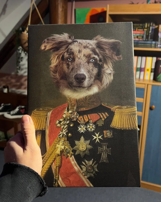 Veterán - Petska.cz